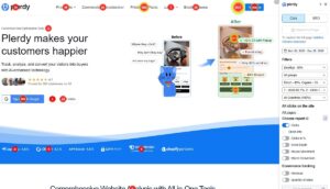 Функционал карт кликов Plerdy – 1100