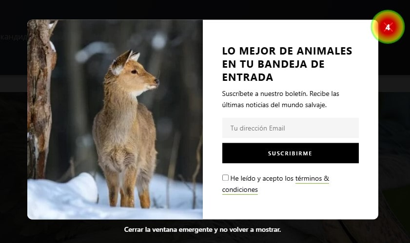 Comment analyser les cartes thermique – Guide complet - 0006