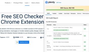 How to Use Plerdy SEO Chrome Extension for Instant Website Audits – 0000