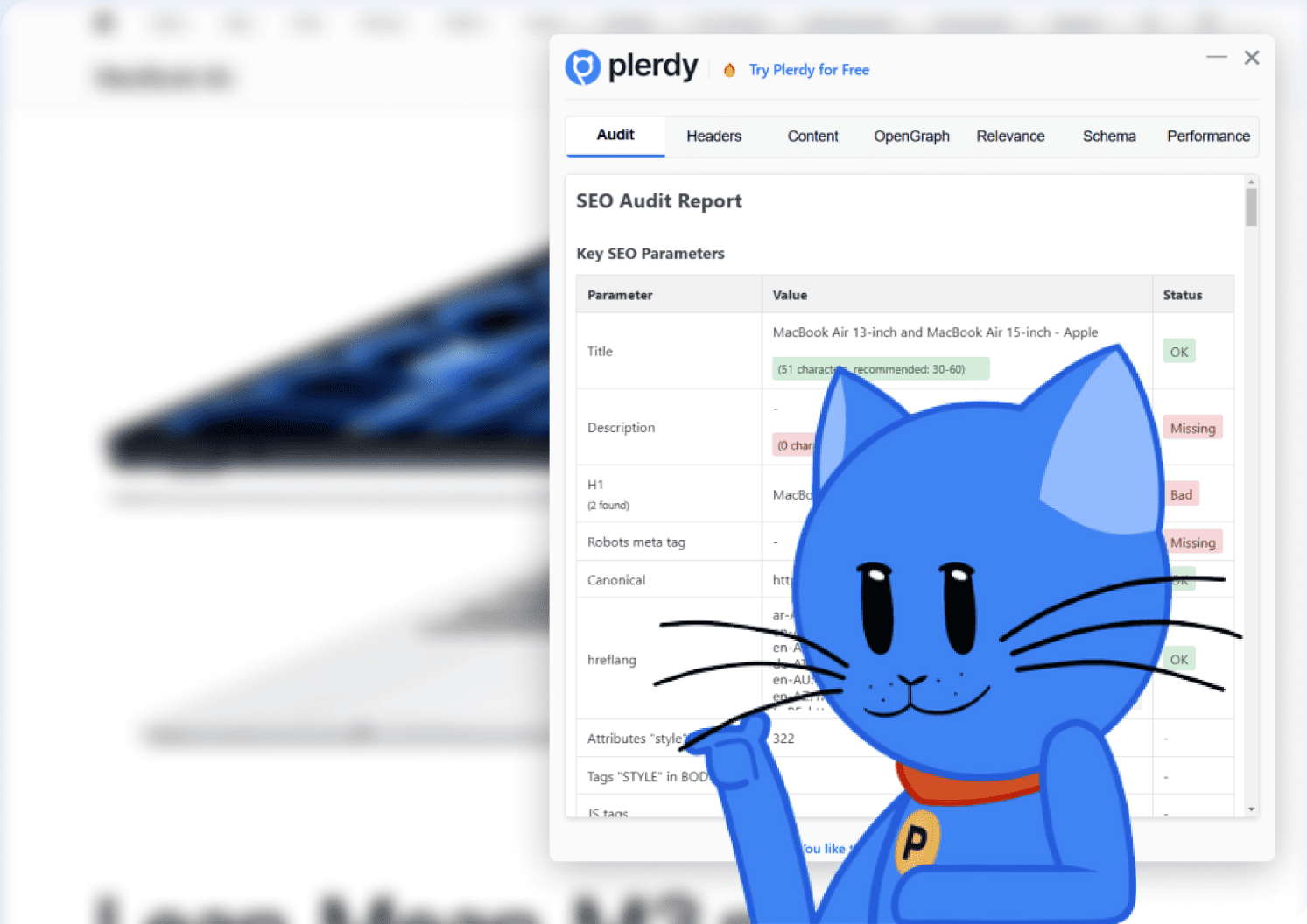 What Does the SEO Chrome Extension Do?