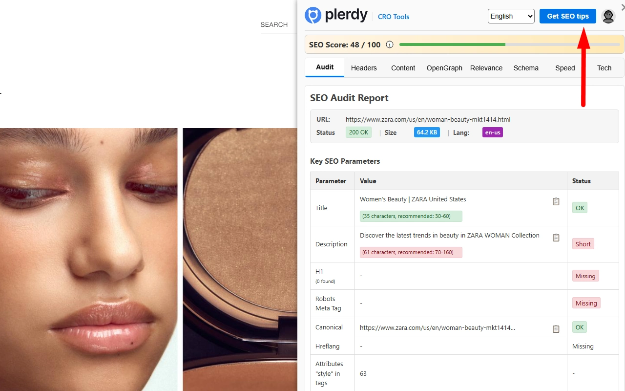 Plerdy SEO Analyzer Slide 1