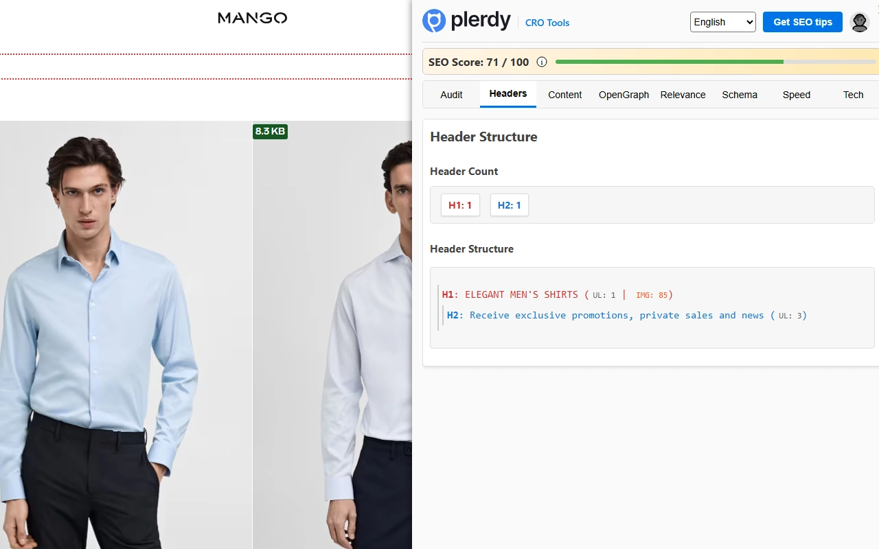 Plerdy SEO Analyzer Slide 2